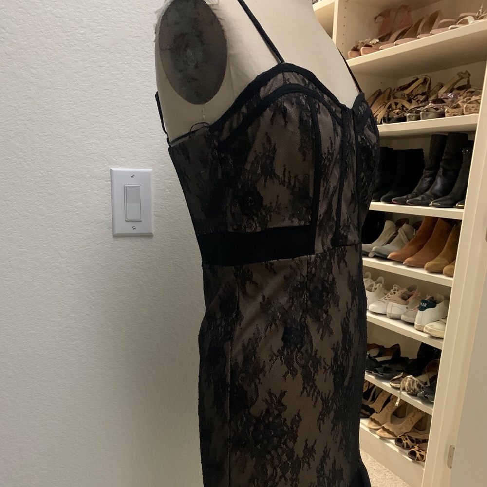 Sugar lips black and nude lace dress